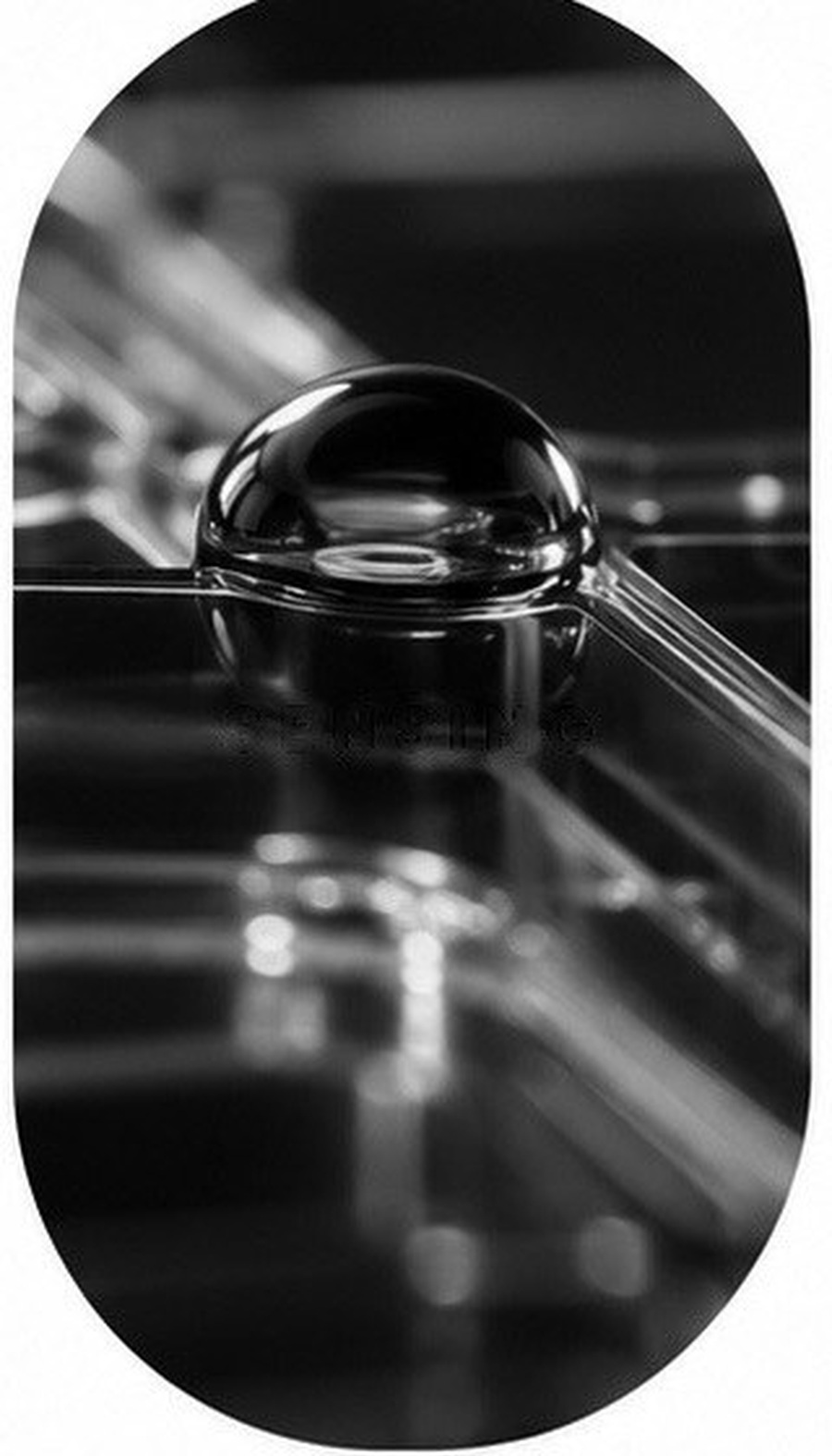 Monochrome laboratory droplet in a microfluidic channel